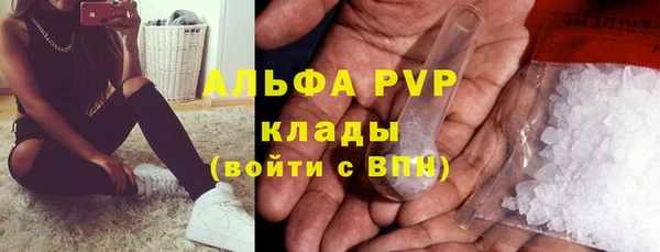 гашиш Богданович