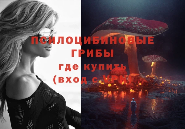 гашиш Богданович