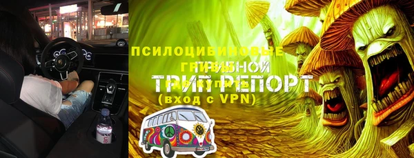 спиды Богородск