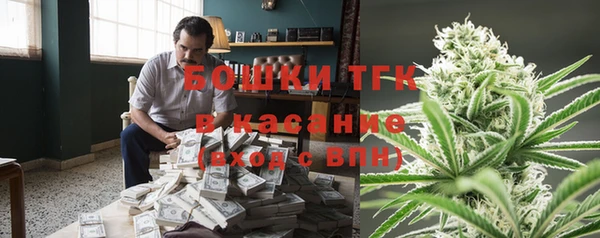 спиды Богородск