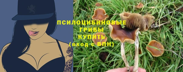 спиды Богородск