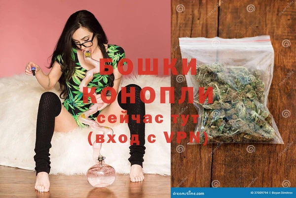 гашиш Богданович