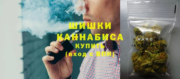 гашиш Богданович