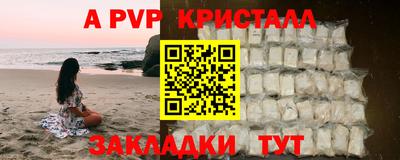 Альфа ПВП Кингисепп
