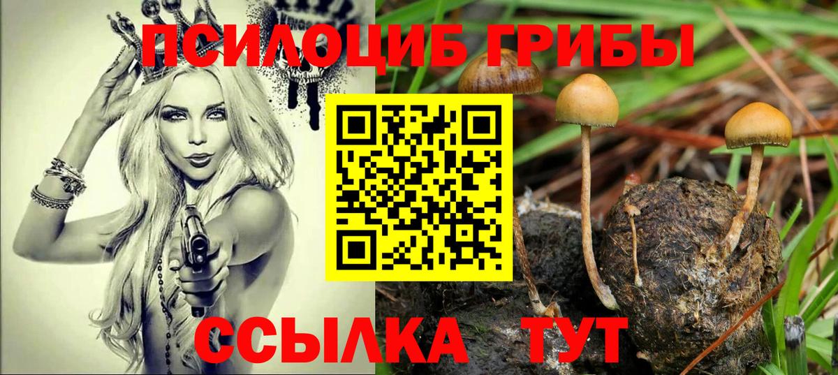 Лыткарино  Псилоцибиновые грибы Magic Shrooms  Вход с VPN 