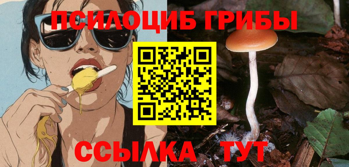 Галлюциногенные грибы Psilocybine cubensis Лыткарино